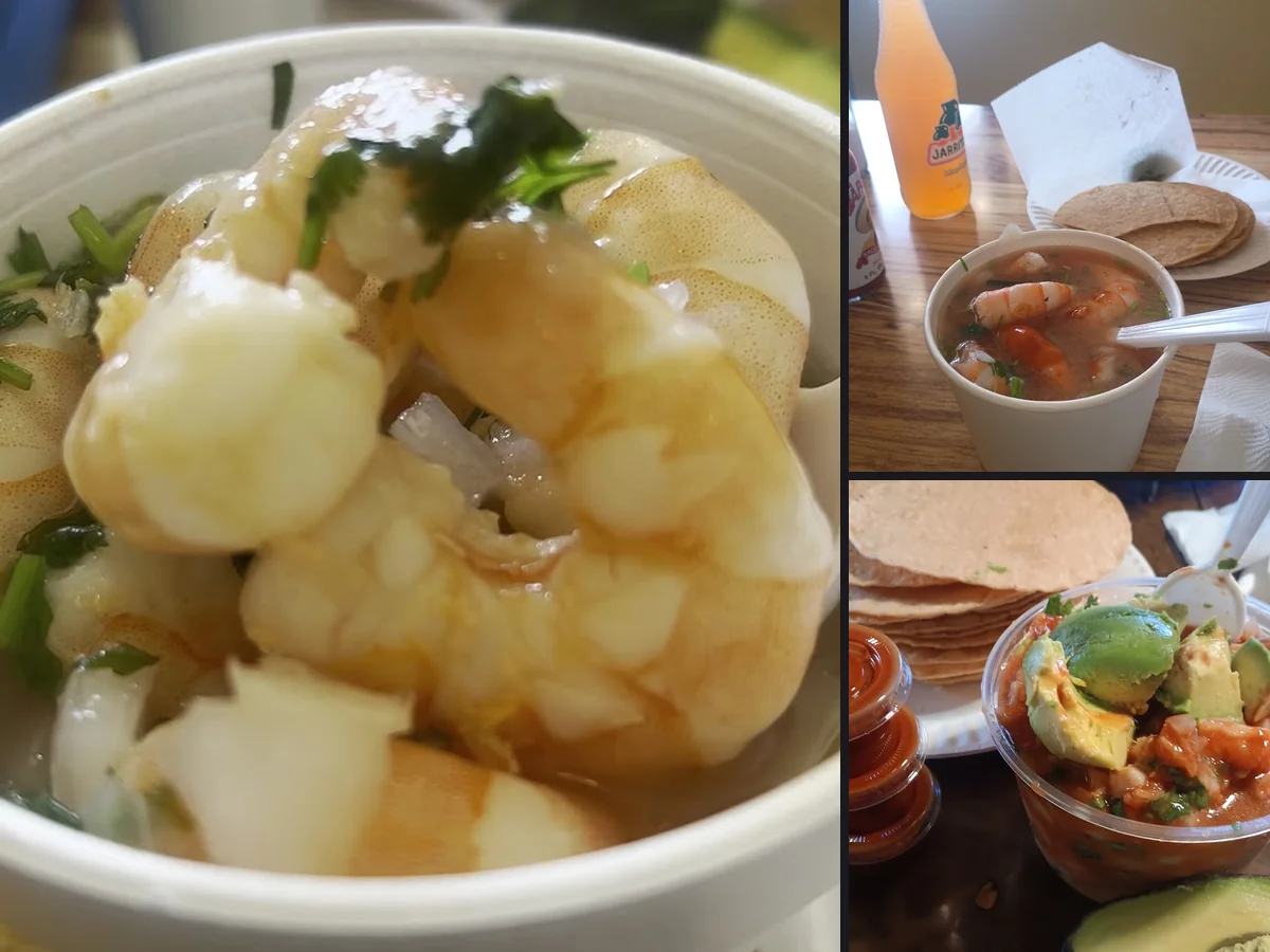 Fresh ceviche with avocado and cilantro.