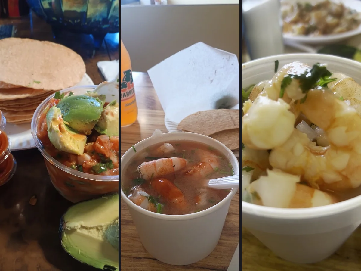 Fresh ceviche with avocado and cilantro.